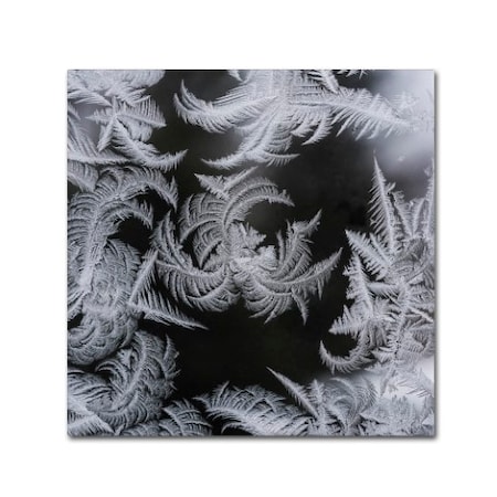 Kurt Shaffer 'Window Frost Pattern 2' Canvas Art,18x18